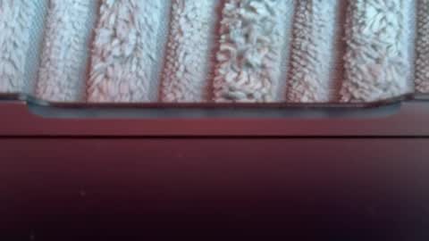 Snapshot of tetebumbum chatting on August 3, 1:05 pm tetebumbum online show from August 3, 1:05 pm