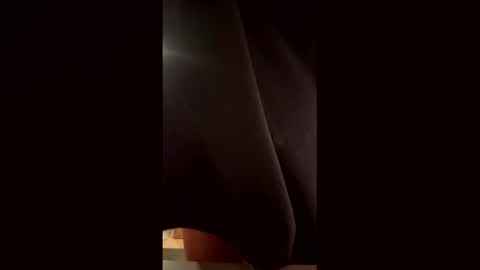 Snapshot of th3xgoat chatting on February 17, 7:20 pm Wildeman online show from February 17, 7:20 pm