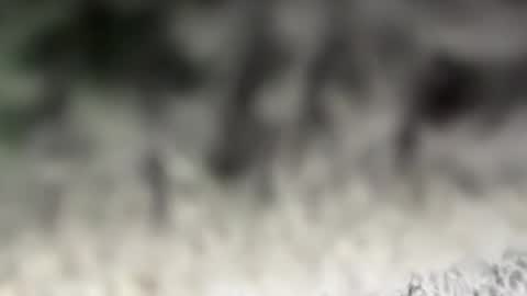 Snapshot of thankyoudaddy1 chatting on March 15, 7:36 am thankyoudaddy1 online show from March 15, 7:36 am