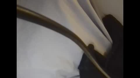 Snapshot of the_borderlands chatting on February 26, 1:21 pm the crazy travellers online show from February 26, 1:21 pm