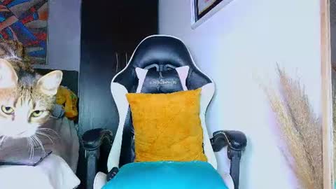 the dog lian online show from July 14, 12:24 am