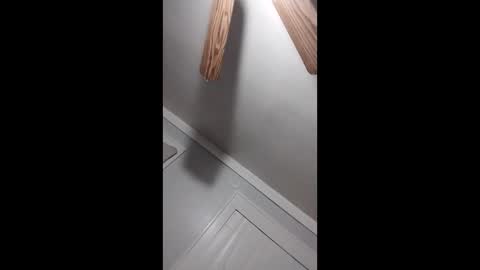 thedailyshower online show from March 9, 6:06 am