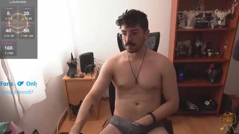 Wolf Independent model online show from February 11, 4:12 pm