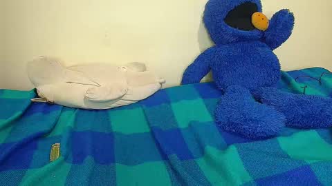 independent Model online show from January 13, 8:15 am