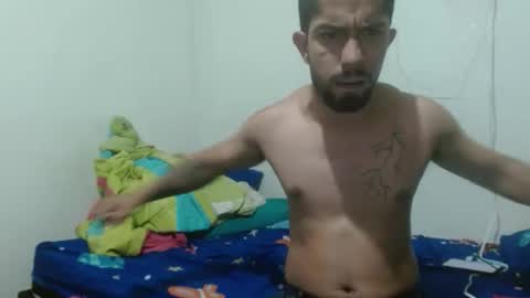 thehousedog online show from November 1, 12:29 pm