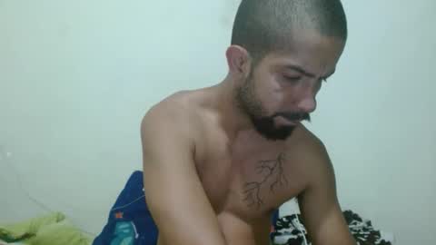 thehousedog online show from November 25, 10:59 am