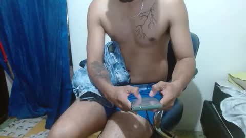 thehousedog online show from February 7, 12:31 pm