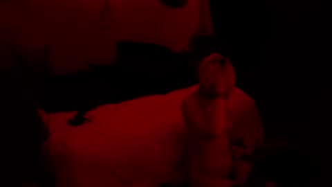 thehungmantis online show from October 15, 2:22 am