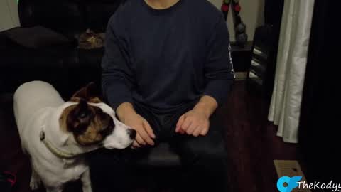 thekodyy online show from October 21, 12:55 am