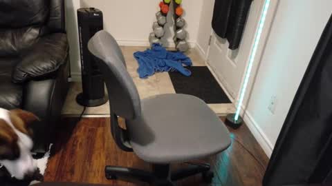 thekodyy online show from November 21, 1:26 am