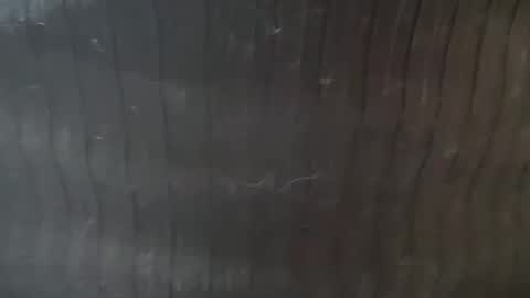 Lucy Lucy online show from November 22, 3:22 pm