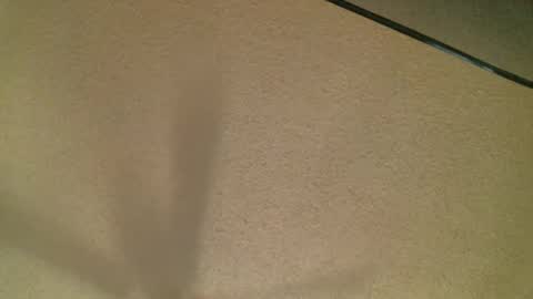 Daisy and Tim online show from October 19, 3:51 am