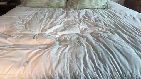 Maya Hill online show from April 13, 3:39 pm