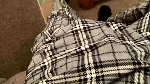 therealpietro77 online show from February 5, 8:57 pm