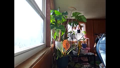 Snapshot of therizzler_1_of_1 chatting on December 17, 3:49 pm therizzler_1_of_1 online show from December 17, 3:49 pm