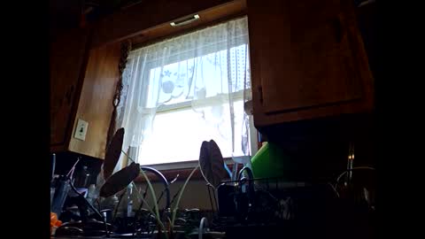 Snapshot of therizzler_1_of_1 chatting on September 11, 6:30 pm therizzler_1_of_1 online show from September 11, 6:30 pm