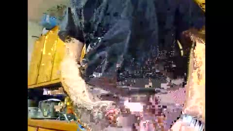 Snapshot of therizzler_1_of_1 chatting on October 22, 4:35 am therizzler_1_of_1 online show from October 22, 4:35 am