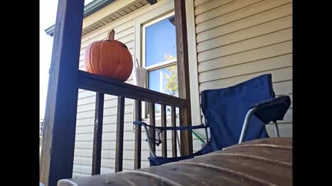 Snapshot of therizzler_1_of_1 chatting on October 22, 7:57 pm therizzler_1_of_1 online show from October 22, 7:57 pm