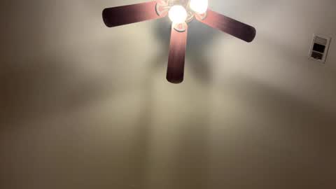 thesheezy12 online show from February 12, 5:15 am