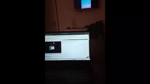 Snapshot of thesporttype chatting on November 1, 7:27 pm thesporttype online show from November 1, 7:27 pm