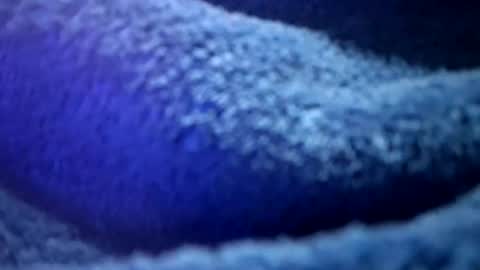 Snapshot of thetasigma69 chatting on February 16, 1:18 pm that would be telling online show from February 16, 1:18 pm