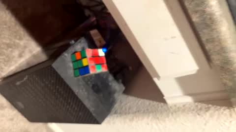 Snapshot of thicknswole chatting on March 6, 8:08 am Thiccccc online show from March 6, 8:08 am