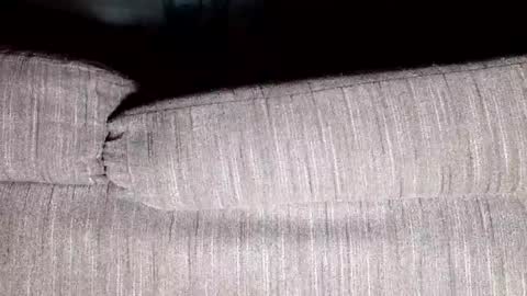 Snapshot of thirsty4itall chatting on January 8, 12:37 pm Thirsty4itall online show from January 8, 12:37 pm