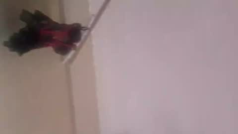 Snapshot of thomassr chatting on November 5, 12:10 am Thonas online show from November 5, 12:10 am