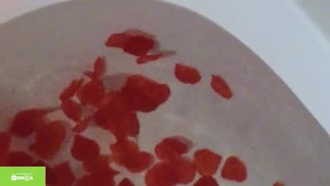 tia_j online show from October 12, 11:20 am