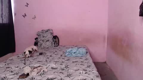 Snapshot of tianiiss_sweet chatting on November 6, 9:37 pm Tiana online show from November 6, 9:37 pm