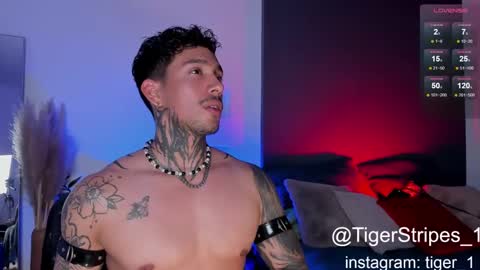 Snapshot of tigerstripes_ chatting on February 2, 10:28 pm Chris online show from February 2, 10:28 pm