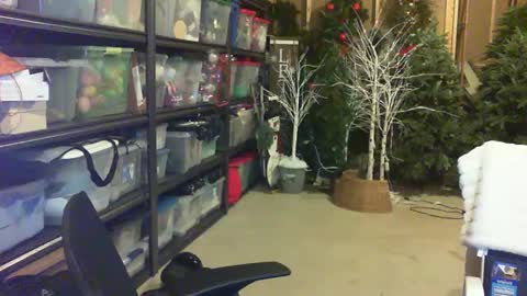 timtimmyyyy online show from September 25, 1:20 am