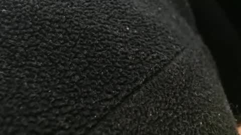 tinyslut66 online show from November 17, 10:59 pm