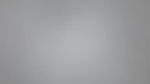 Vols online show from February 3, 11:53 am