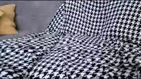 Bima online show from October 17, 9:01 am