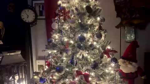 Snapshot of tommybones4l93 chatting on December 18, 2:06 am tommybones4l93 online show from December 18, 2:06 am