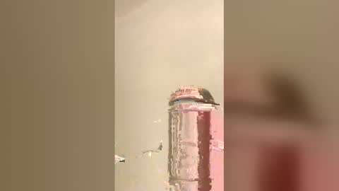 Snapshot of tommygun4969 chatting on February 5, 12:37 am tommygun4969 online show from February 5, 12:37 am