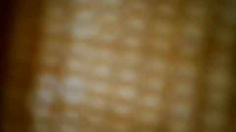 Snapshot of tomtresor chatting on December 17, 5:13 am tomtresor online show from December 17, 5:13 am