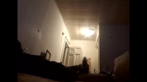 tonetanight online show from February 7, 4:22 pm