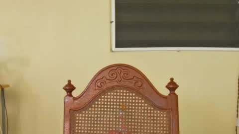 Antonio online show from October 9, 2:48 pm