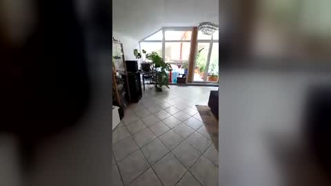 tonigeo43408965 online show from August 5, 10:40 am
