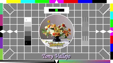 Snapshot of tony_vallejo chatting on October 14, 9:54 am Tony V online show from October 14, 9:54 am
