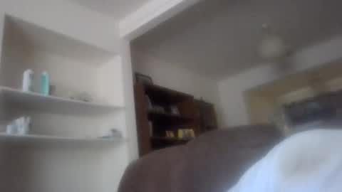 topfoxs30 online show from November 12, 1:33 pm