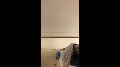 toronto5656 online show from January 13, 6:27 am