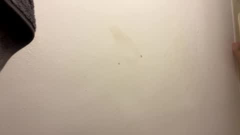 toronto5656 online show from January 31, 6:46 am