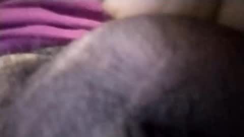 torresabel762 online show from April 8, 3:56 pm