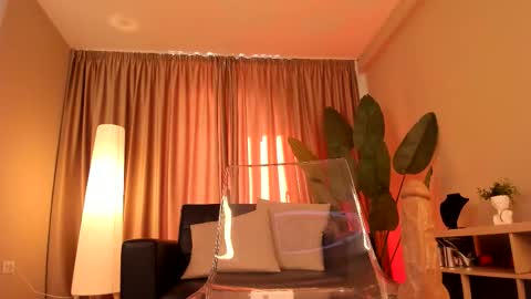 torri kitten online show from March 17, 8:28 am