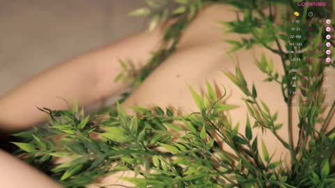 Toshi online show from October 13, 1:00 pm