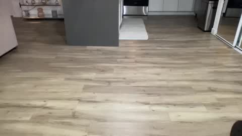 Snapshot of toskisha16 chatting on February 8, 4:36 am ASH online show from February 8, 4:36 am