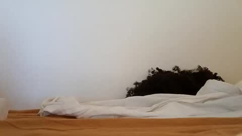 transexblackfat online show from November 19, 1:33 pm